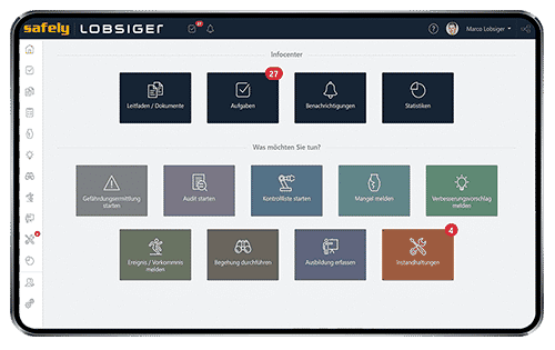 Ipad Safely Businesssoftware Applikation individuell
